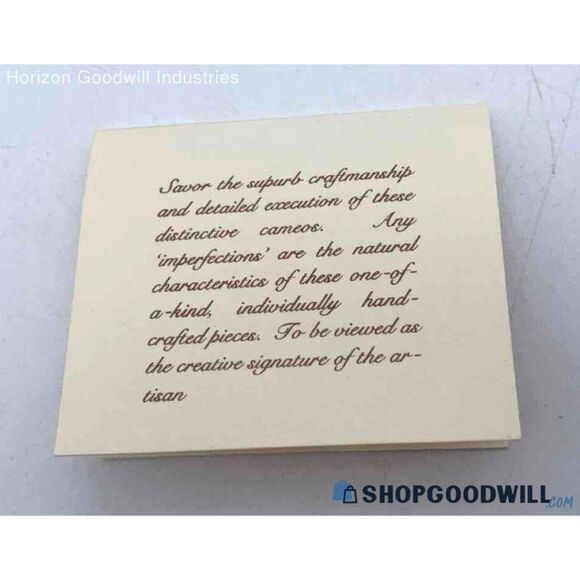 IOB The Vatican Library Collection Gold Tone St. Patrick Cameo Locket Necklace - Picture 9 of 9